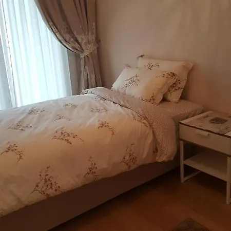 Appartamento The Elegant Venezia Provincia di Istanbul